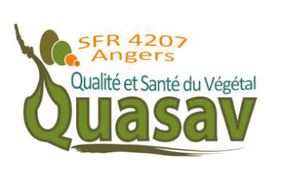 logo-QuaSav